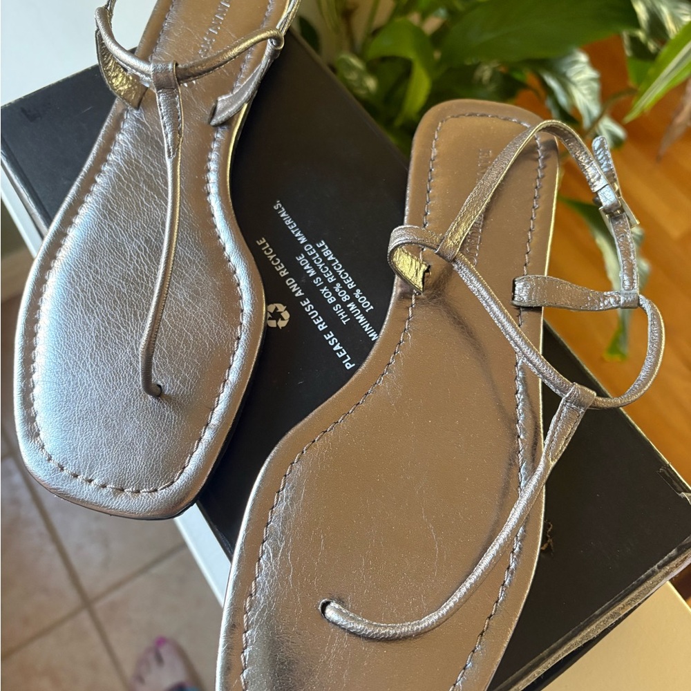 Banana Republic Metallic Silver Sandals